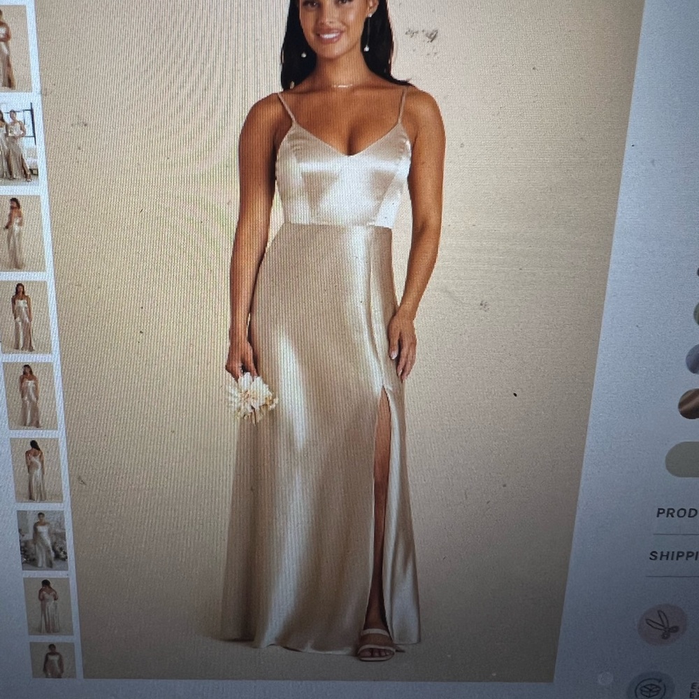 Birdy Grey champagne Jay dress unaltered